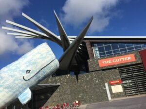 At Northumberland Archives, Woodhorn