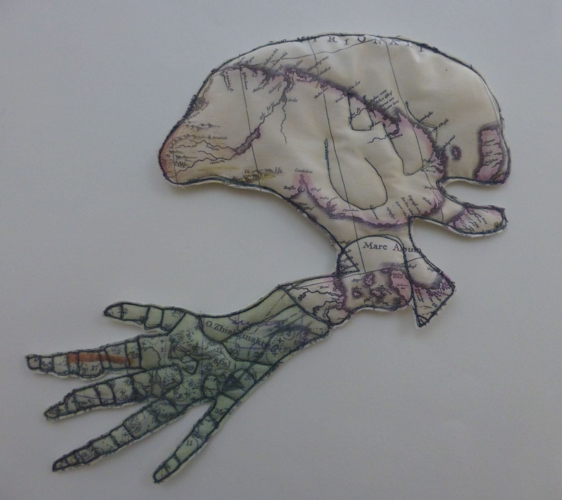 Five Whales Series - Beluga