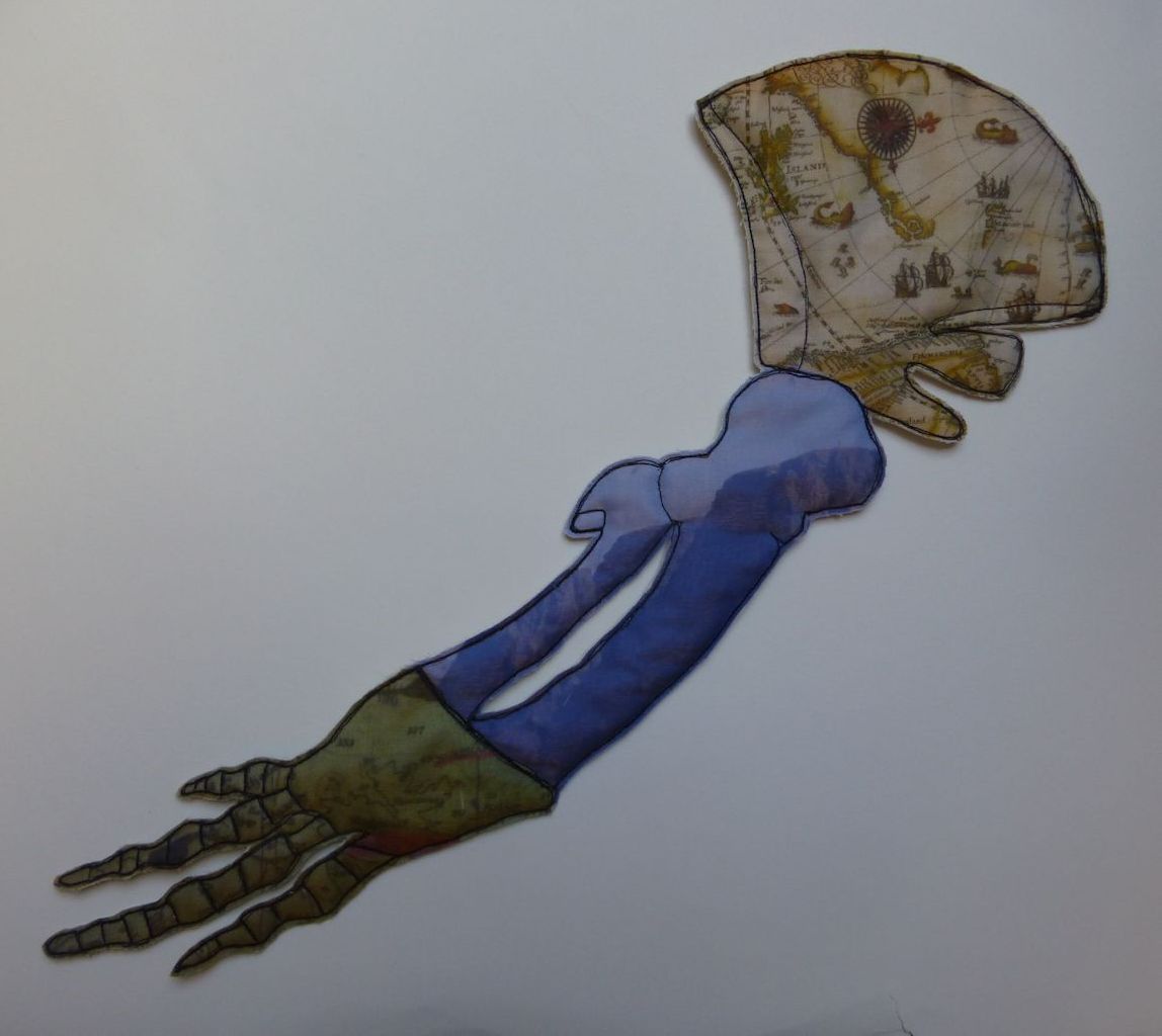 Five Whales Series - Minke